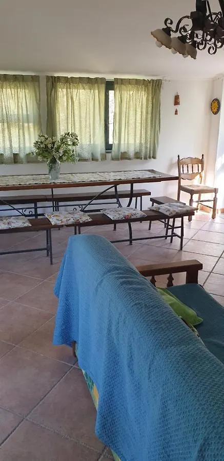 Casa vacanze Casa vacanza Etna Evergreen Villa Piedimonte Etneo