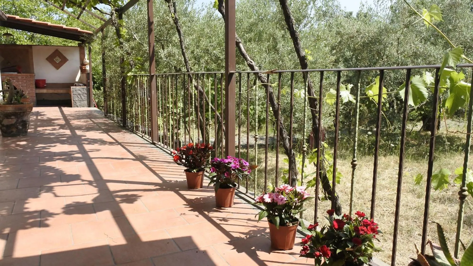 Casa vacanze Casa vacanza Etna Evergreen Villa Piedimonte Etneo