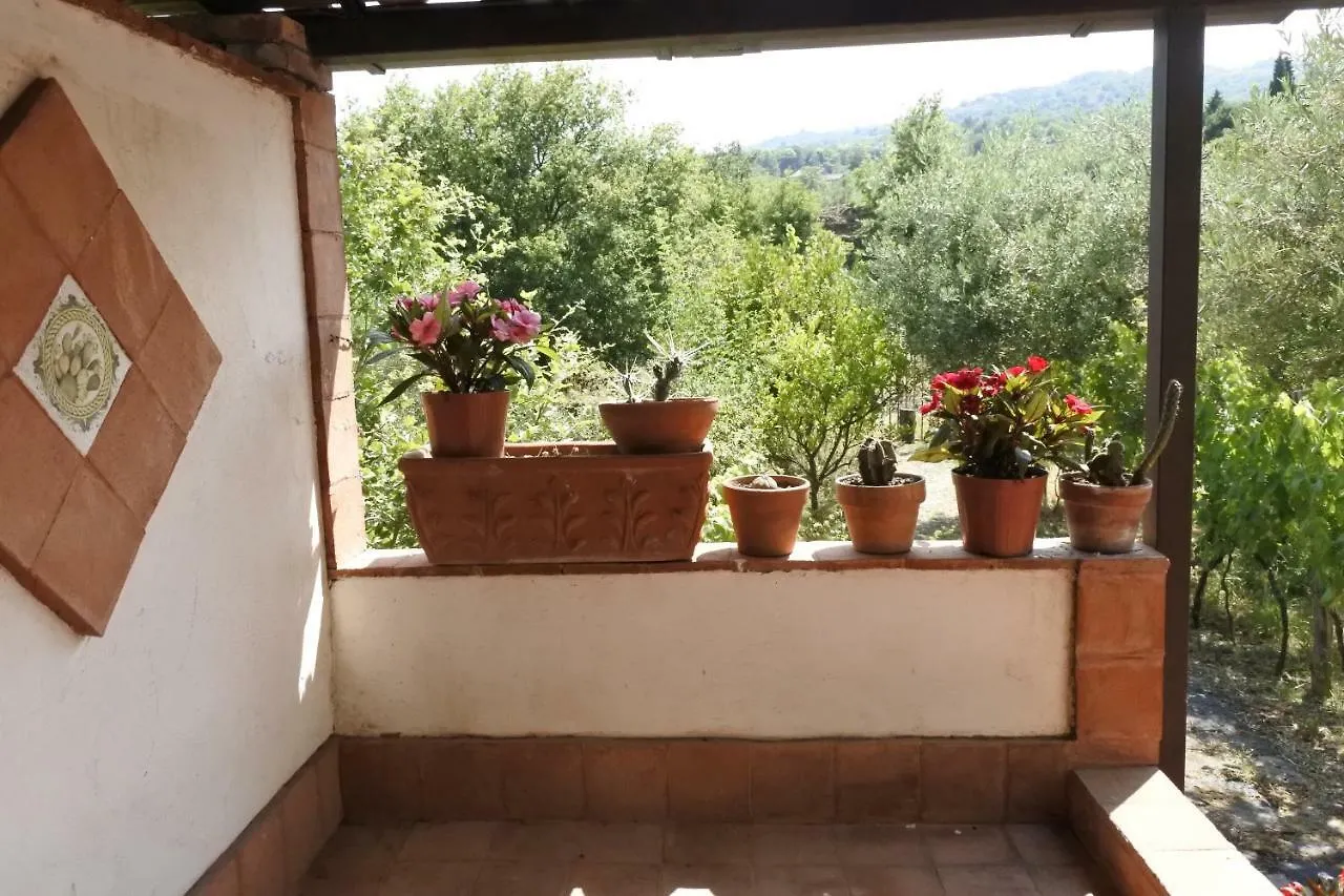 Casa vacanza Etna Evergreen Villa Piedimonte Etneo Casa vacanze