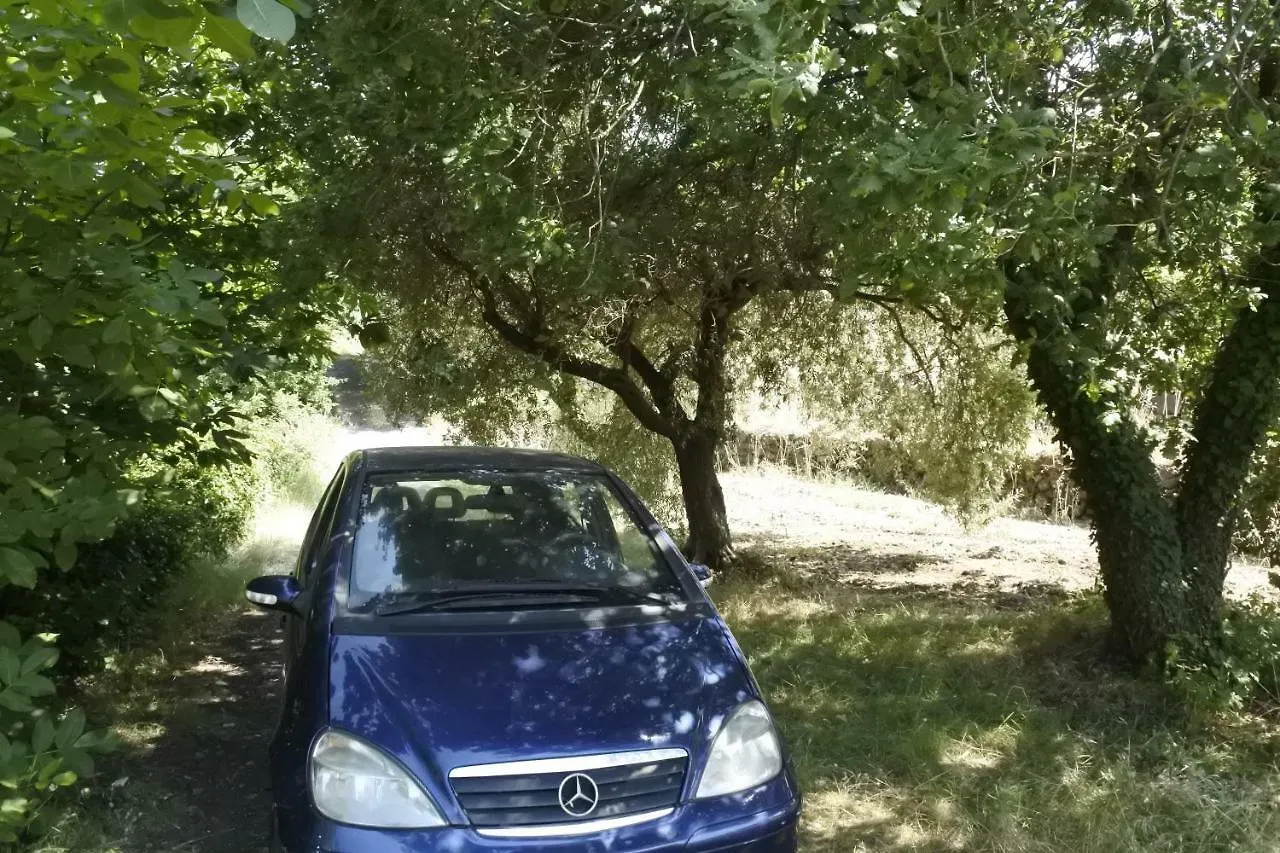 Casa vacanza Etna Evergreen Villa Piedimonte Etneo