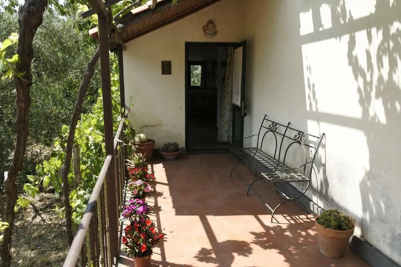 Casa Vacanza Etna Evergreen Villa Piedimonte Etneo Italy